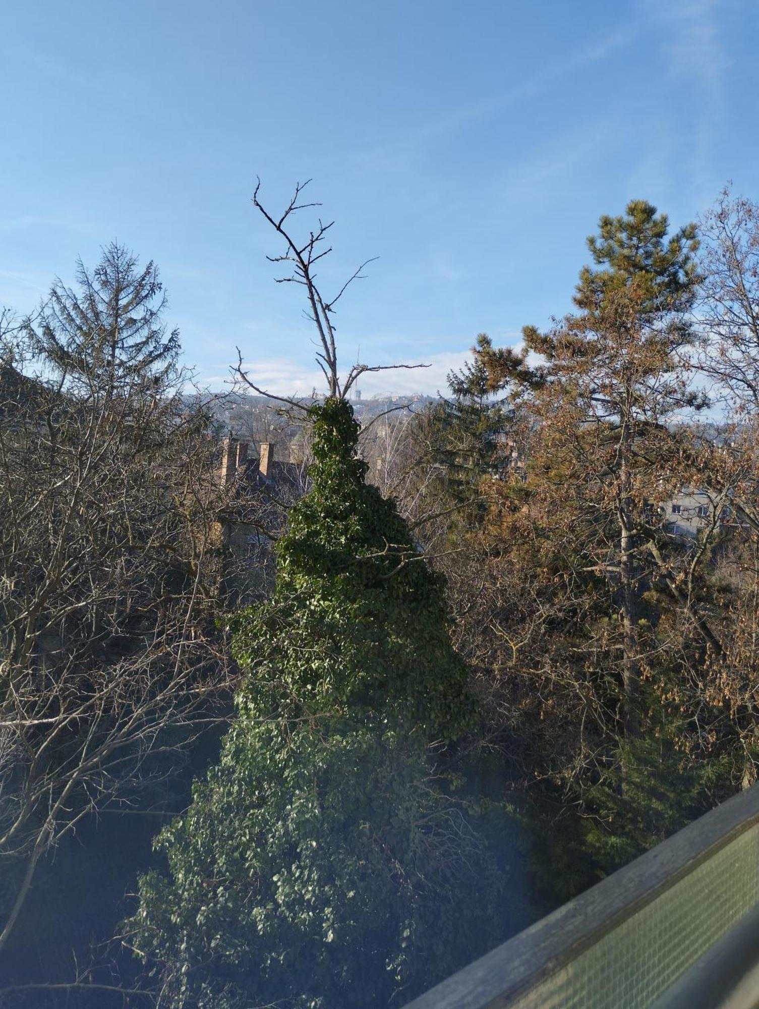 Appartement Greenview